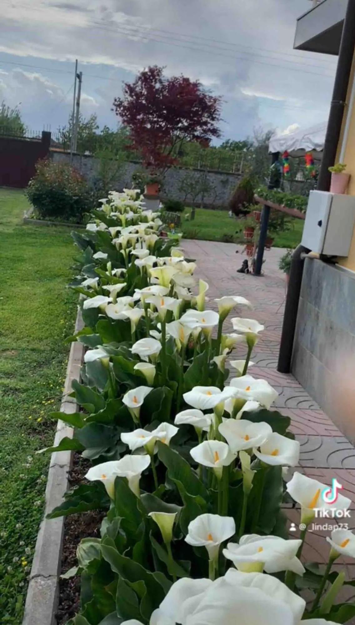 Linda Homestay Shkoder
